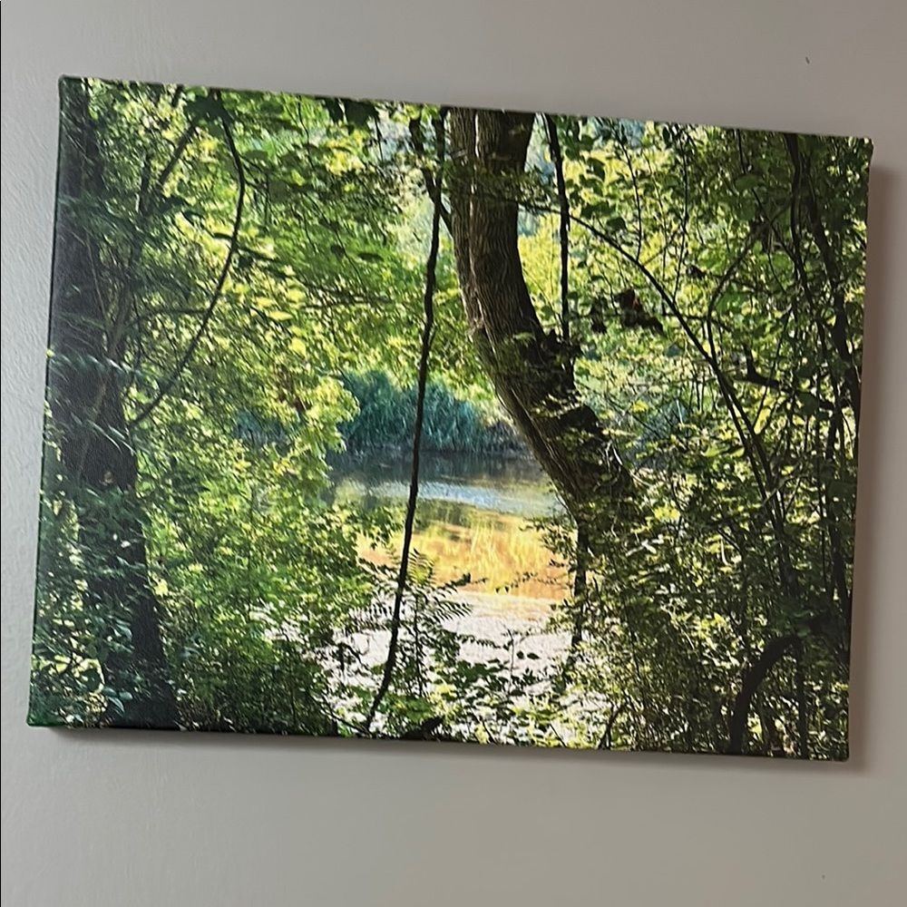 Nature Canvas Wall Art